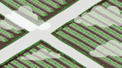 Vector Watermelon field viewed from above