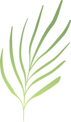 Vector Illustration Green Leaves