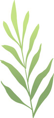Vector Illustration Green Leaves