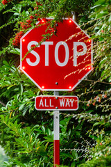 Stop sign with flashing LED lights partially blocked by plant foliage, all way sign below
