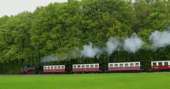 Molli steam train near Heiligendamm, Mecklenburg-Western Pomerania, Germany, Europe