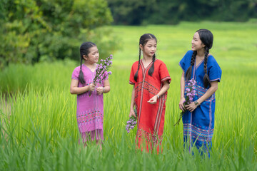 Pretty girls groups is happy in green organic Thai jasmine rice paddy crop on a plantation field growing during the growing season agriculture farming.