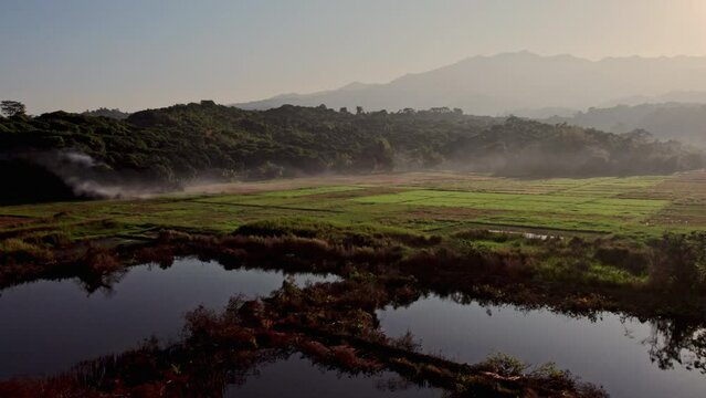 Subic's Verdant Water-meadow