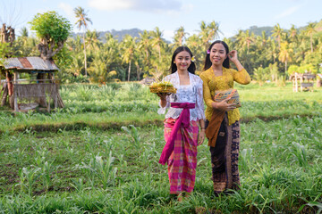 Balinese girls in colorful dresses sitting under a palm tree bearing coconuts.