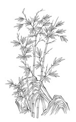 Illustration of bamboo and stone, Chinese style, black and white, digital art.