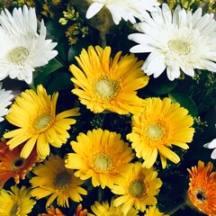 bouquet of yellow flowers