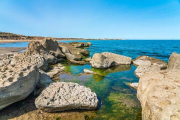Fototapeta na wymiar Rocky seashore covered with green algae