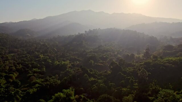 Dawn Ascends Above The Mountains And Forest