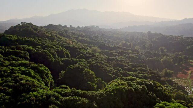 First Light On Mountains And Woods