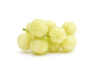 fresh organic sour gooseberry laying on white background small gooseberry Contains antioxidants to help slow down aging Help in matters of the excretory system. and is high in vitamin C.	
