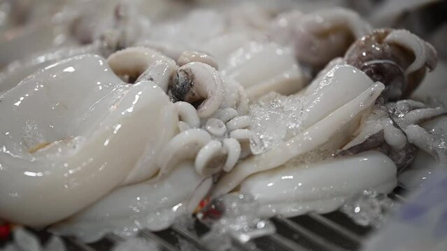 Fresh squid Thai seafood menu with delicious taste. Thai street food menu.