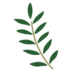 オリーブの枝、装飾ベクター素材