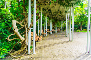 平岡樹芸センターの西洋庭園のベンチ