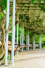 平岡樹芸センターの西洋庭園のベンチ