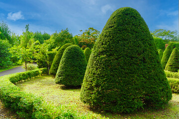 平岡樹芸センターの西洋庭園