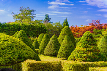 平岡樹芸センターの西洋庭園