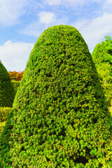 平岡樹芸センターの西洋庭園