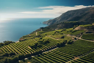 Foto auf Acrylglas Ligurien the cliffs and vineyards at the coast with sea. mediterranean landscapes