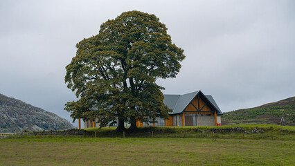 A country mansion with a modern design in the tranquillity of the highlands