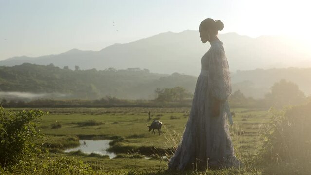 Sheer-dressed Lady Walking On Field At Sunrise