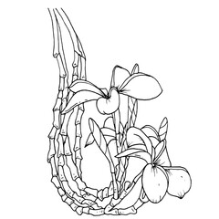 hand drawn illustration of a orchid