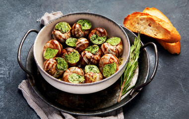 Snails with herbs butter,  French traditional food with parsley and bread on grey background