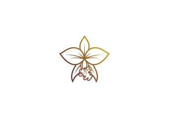 Logo line Orchid elegant gold color, Minimalist, Modern, Logo Line, editable color © ahmadfaiz