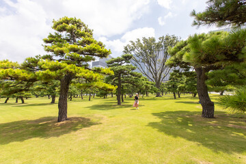 Fototapeta na wymiar Jardin du palais impérial de Tokyo au Japon