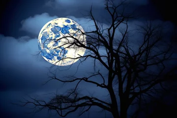 Photo sur Plexiglas Pleine Lune arbre The silhouette of a spooky bare branch halloween tree against a winter blue night sky with a glowing full moon and clouds, Generative AI