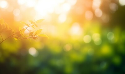 A summer sunset, sunrise background with lush green foliage and orange glow sky with blurred spring bokeh highlights, Generative AI - obrazy, fototapety, plakaty