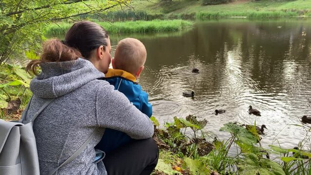 mother and toddler child feed wild ducks on a pond in the park, Pavlovsky Park, Pavlovsk, St. Petersburg, Russia.