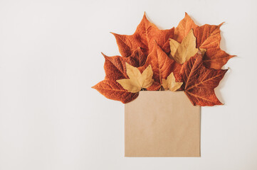 Fall flatlay of paper envelope filled with different colored leaves