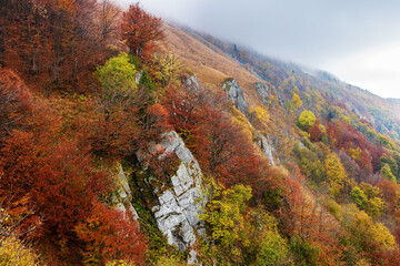 Golden autumn in the Eastern Carpathians.