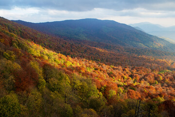 Golden autumn in the Eastern Carpathians. View of the valley.