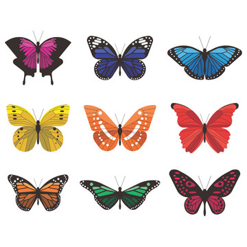collection of butterflies, Colorful butterflies png