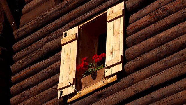 4K video with the facade of a wooden mountain cabin with some red Pelargonium flowers in front of the windows with wood shutters. Village house.