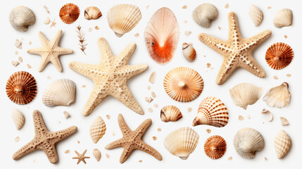 The beach finds small seashells, fossil coral and sand dollars, puka shells, a sea urchin and a white starfish/ sea star, ocean, summer, and vacation design. Generative Ai