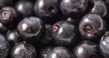 Close-up of blueberries as a background. Macro