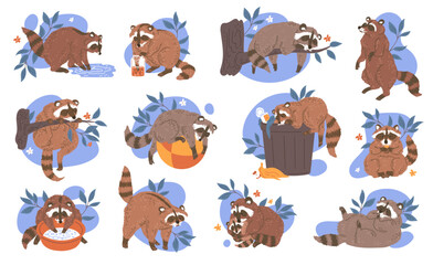 Raccoon mammal animals cartoon characters set flat vector illustration isolated.