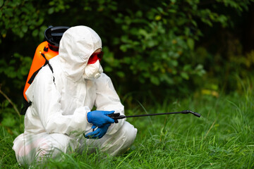 A worker sprays pesticides in an open park on the lawn. Pest control - obrazy, fototapety, plakaty