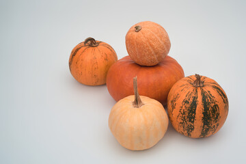 Five big orange Halloween pumpkins on a white background top view