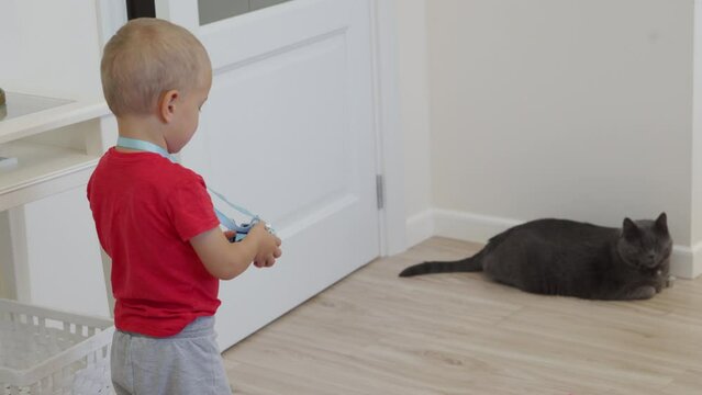 toddler child with toy camera taking pictures of gray cat at home