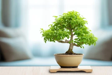 Fotobehang a beautiful bonsai tree on a light wooden table, indoors © Alfazet Chronicles