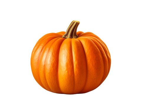 Pumpkin isolated on transparent or white background