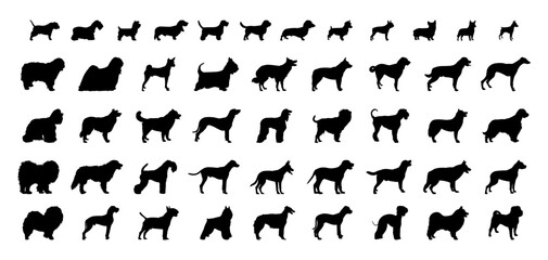 Vector set detailed silhouettes of 
dogs of different types isolated on white background.