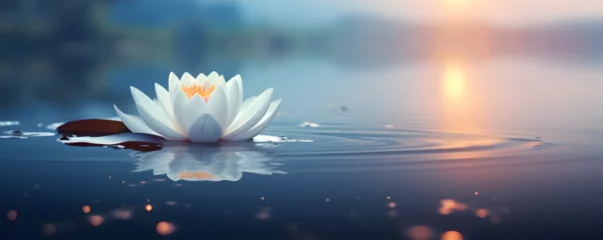 Deurstickers arrière-plan zen avec eau, fleur de lotus, nénuphars © Fox_Dsign