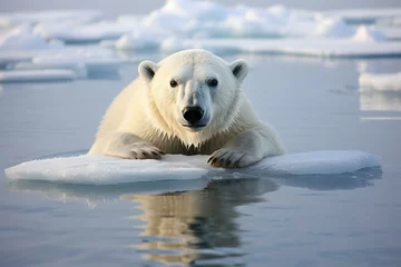 Fotobehang Image of polar bear on melting ice in the sea during winter. Generative AI © Michael