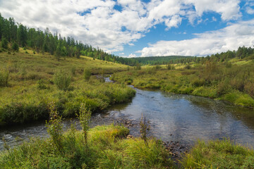 Fototapeta na wymiar Valley of a small stream