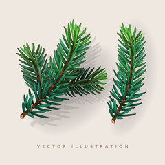Set of fir branches. Christmas tree, spruce tree, pine, mockup