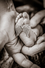 Besch&uuml;tzt und beh&uuml;tet